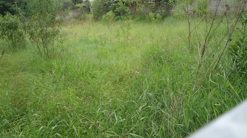 Imagem 4 de 4 de Terreno 1200,00m2 Em Condomínio