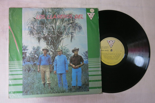 Vinyl Vinilo Lp Acetato Los Llaneros Del Arauca 