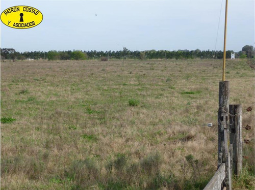 0976hp- 83 Ha (52 Ha + 31 Ha) - Open Door-manzanares
