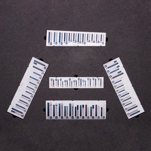 Imagem 7 de 7 de Bandoneon D'quandt - 142 Tons - Instrumento Novo