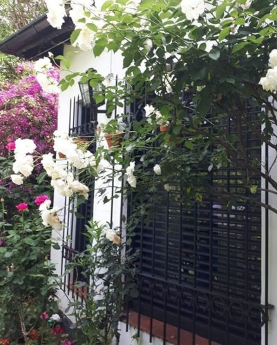 Imagen 6 de 10 de Servicio De Jardinería A Domicilio, Diseño Y Mantenimiento.