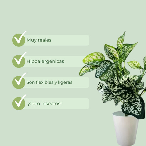 Planta Artificial De Escritorio Con Maceta Cónica + Piedras
