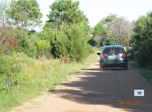 Imagen 8 de 26 de Terreno En Venta En Rocha, Zona De Punta Del Diablo, Bosque De La Viuda