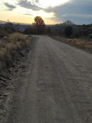 Venta De 20 Hectáreas Sobre Ruta En Tala Cañada...ref 1557