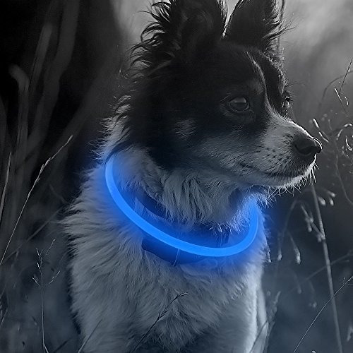 Collar Luminoso Para Perros Led - Recargable Usb - Azul.