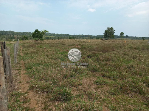 Imagem 5 de 5 de Venda Fazenda Machadinho D'oeste Em Rondônia - Fza205