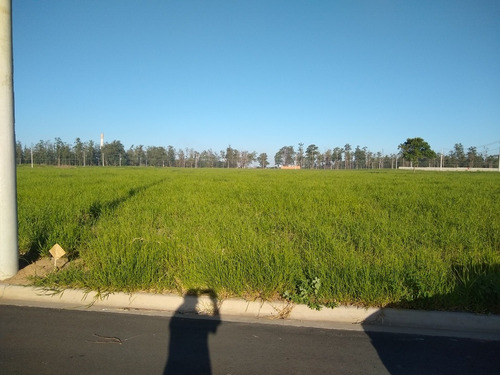 Imagem 9 de 10 de Jd Pacaembu Americana 300m Quitado.pronto P/ Construir