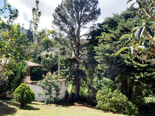 Imagen 14 de 30 de Casa En Venta Junko Country Club-riv Grupo Millenium-lf-lina Falivena