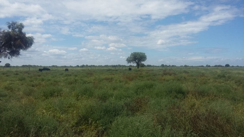 Imagen 27 de 30 de Se Vende Campo En Cordoba Listo Para Trabajarlo