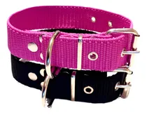 Comprar Collar Reforzado Para Razas Fuertes - Pitbull - Rott - Dogo