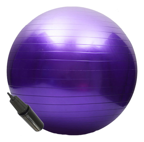 Bola Pilates Suica Yoga Ginastica 65cm Com Bomba De Mão