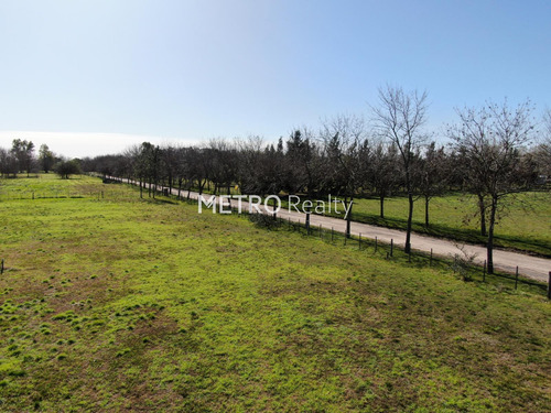 Lote En Venta 1 Hectárea En Loma Escondida, Open Door