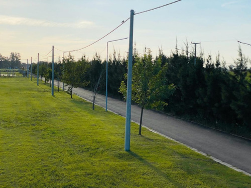 Imagen 4 de 5 de Terreno A La Venta En Alvear Eco Pueblo