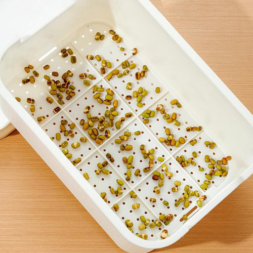 Bandeja De Brotes De Semillas, Mini Kits De Blanco