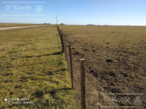 Imagen 6 de 21 de Dolores, 100 Has En Venta. Campo Ganadero Para Armar.