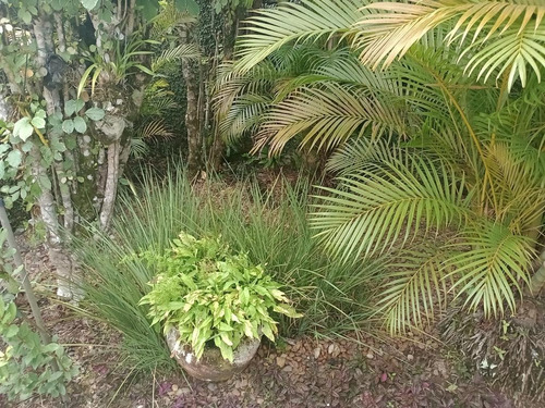 Alto Padrão Sobradão 5 Suites, 4 Varandas, Frente Ao Mar, Vista Direta, Condominio Fechado