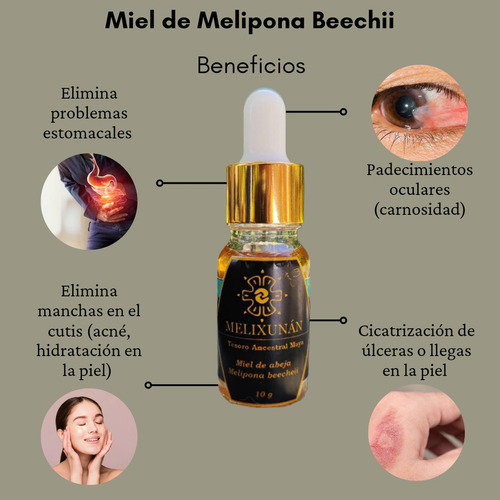 Miel Melipona Beecheii (2 Goteros 10g)