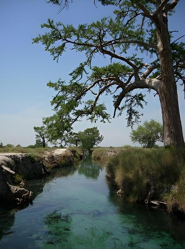 Gran Terreno Con Riqueza Natural, San Luis Potosi Sup. 9,890 Hectareas
