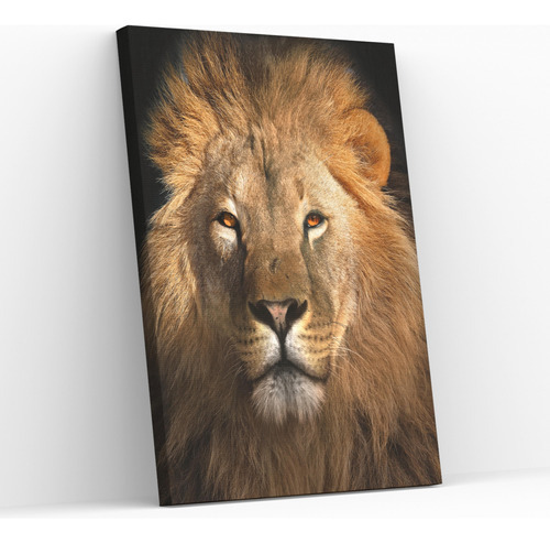 Quadro Leão Dourado Selvagem Animais Selva Tecido  100x150cm