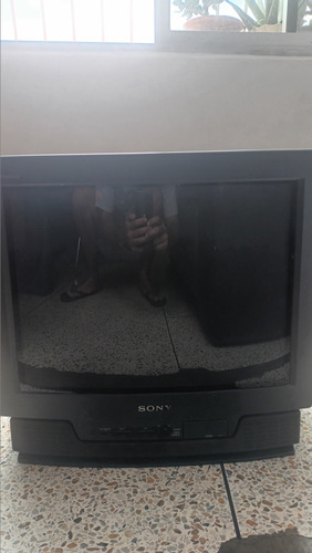 Tv Sony Trinitron 20 Pulgadas 