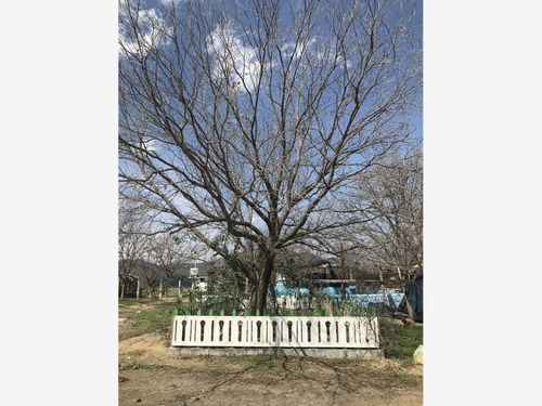Imagen 6 de 7 de Terreno En Venta Ejido Las Encinas