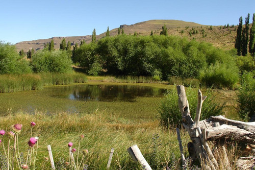 Imagen 5 de 30 de Campo En Venta Zona Alumine, Neuquén