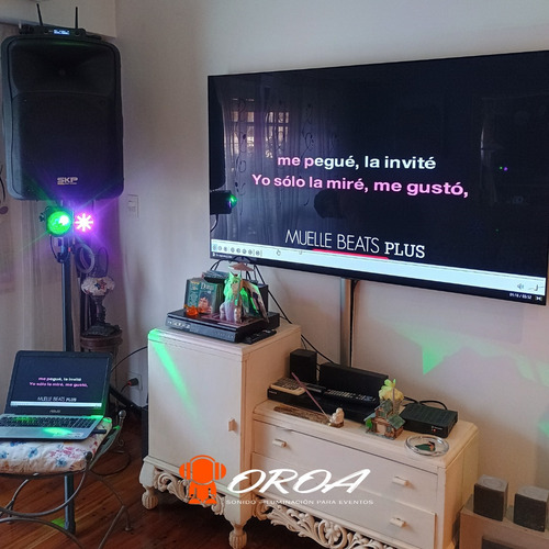 Alquiler De Karaoke Luces Sonido Guirnaldas Parlantes