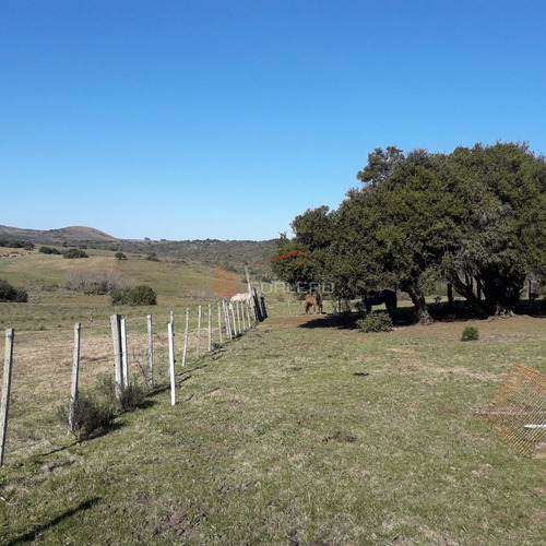 Imagen 2 de 29 de Maldonado Campo Con 150 Has Ganaderas En Aigua, 70 Kms De Punta, Serrano, Pintoresco, Con Instalaciones