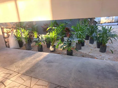 Casa En Venta En El Centro De Mérida,yucatán