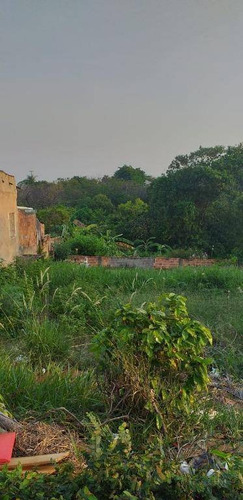 Imagem 5 de 6 de Terreno À Venda, 600 M² Por R$ 195.000,00 - Vila Rodrigues - Londrina/pr - Te0217