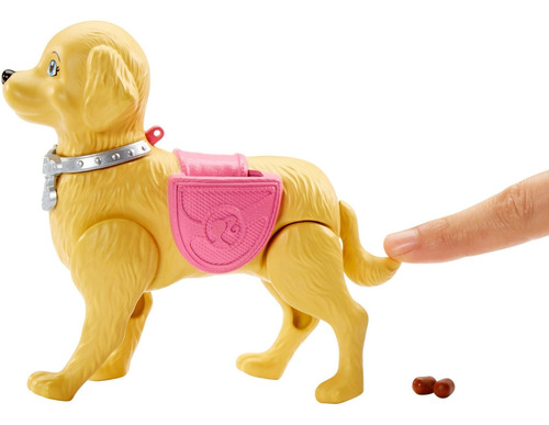 Muñeca Barbie Modelo Paseo De Perrito