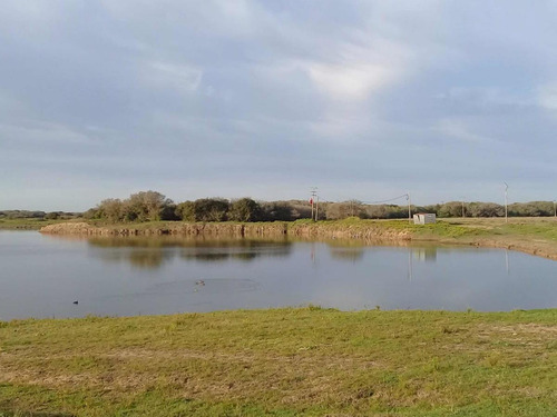 Imagen 18 de 19 de Campo En Venta - 101 Hectáreas - Pinamar