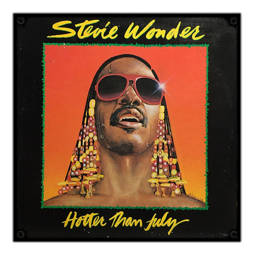 #98 - Cuadro Vintage 30 X 30 Cm / Stevie Wonder No Chapa 