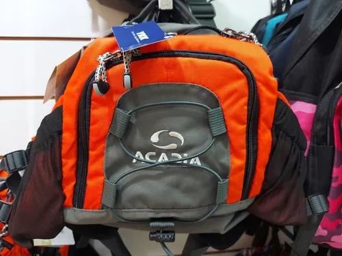 Koala Acadia Original