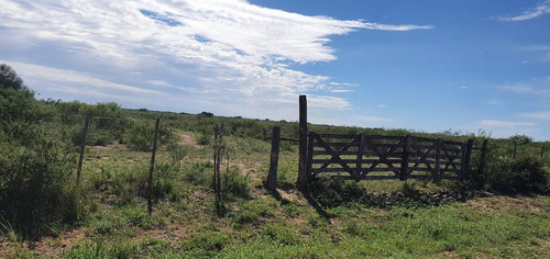Campo - Santiago Del Estero