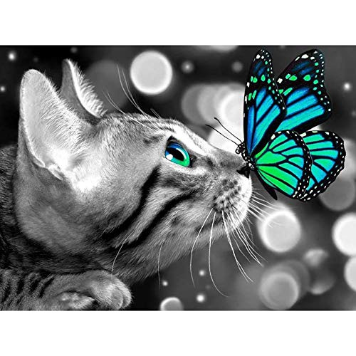 Pintura De Diamante De Gato Mariposa, Arte De Diamante ...