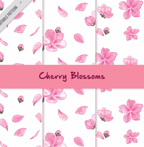 Pack Fondos Vectorizados Cherry Blossoms Flores Cerezo .ai