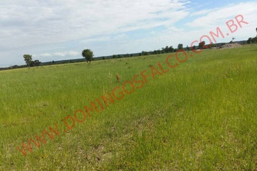 Imagem 11 de 15 de Venda - Fazenda - Zona Rural - Divinópolis Do Tocantins - To - D4827
