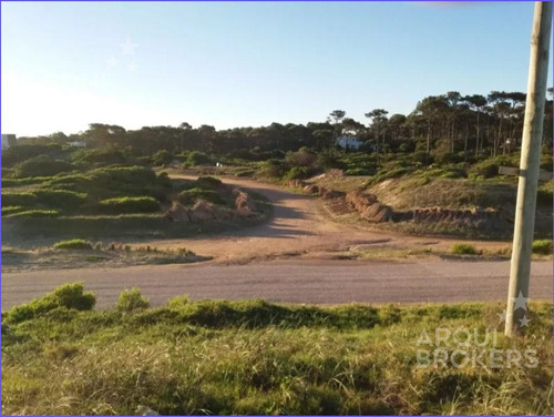 Terreno En  Chihuahua Ubicado A 80 Metros De La Playa