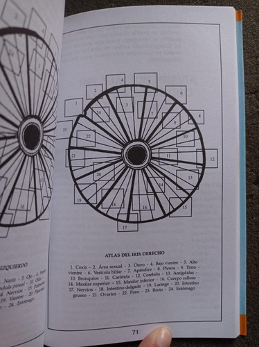 Terapia De La Iridología La Salud Por El Iris - Glen Hardy (Usado)
