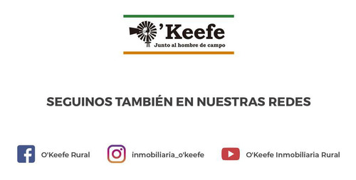 Imagen 22 de 22 de Campo Mixto En Venta En Chivilcoy 60 % Agrícola - Armado
