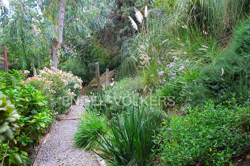 Casa En Arriendo - La Foresta