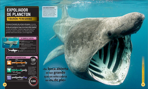 Supertiburones Y Otras Criaturas Del Mundo Submarino, De Varios Autores. Editorial Dk En Español