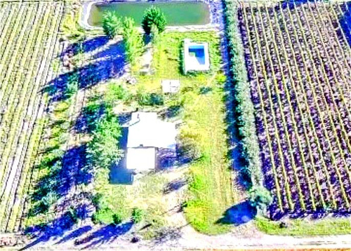 Finca Con Dos Propiedades Y Produccion En General Alvear