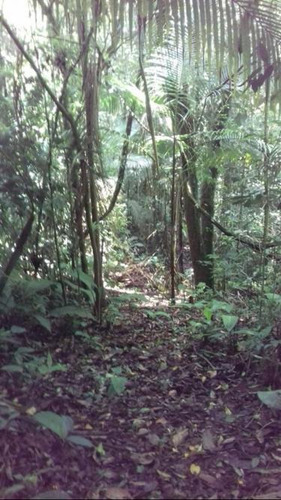 Imagem 12 de 14 de Juquitiba/belo Terreno P/criação/ac/permuta Sp/