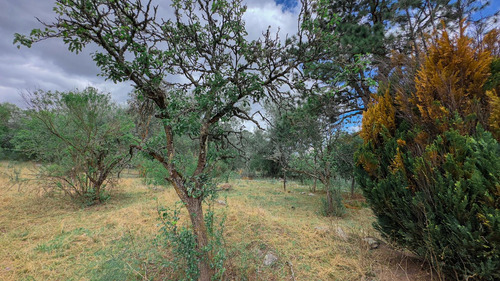 Terreno En Venta - Tafí Del Valle, La Quebradita