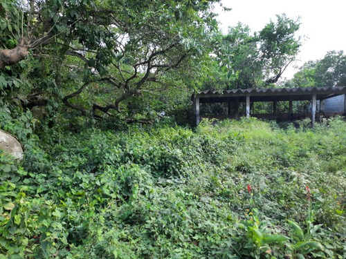 Renta Terreno 800 M² Col. Juan Lucas Tuxpan Veracruz