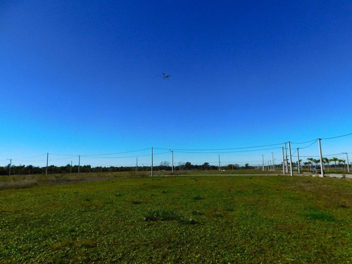 Venta Lote En El Lazo En Exaltacion De La Cruz