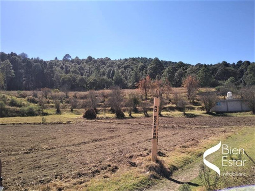Imagen 3 de 5 de Terreno En Venta San Felipe