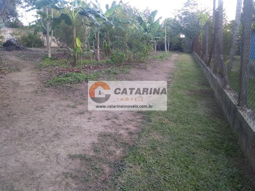 Imagem 8 de 10 de Lindo Terreno Com Topografia Plana!